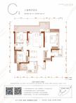 长岛·银河湾（蓝光江安城3期）3室2厅2卫113.00平户型