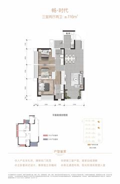 时代之城3期1室116.00平户型
