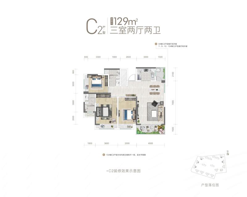 C2