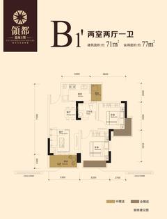 龙城二期领都2室2厅1卫71.00平户型