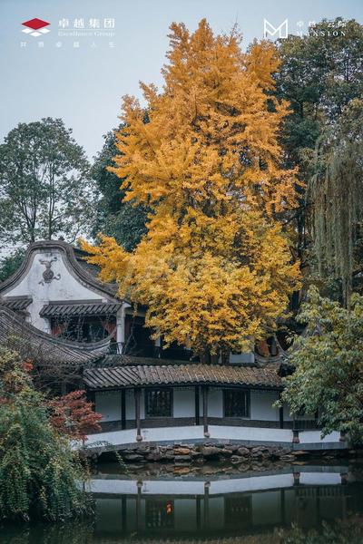易园
