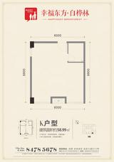 九峰时代广场(白桦林商业中心)  58.99平米