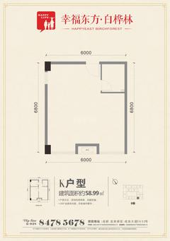 九峰时代广场(白桦林商业中心)58.99平户型