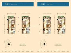 中国水电青云阶云域1室1厅1卫49.00平户型