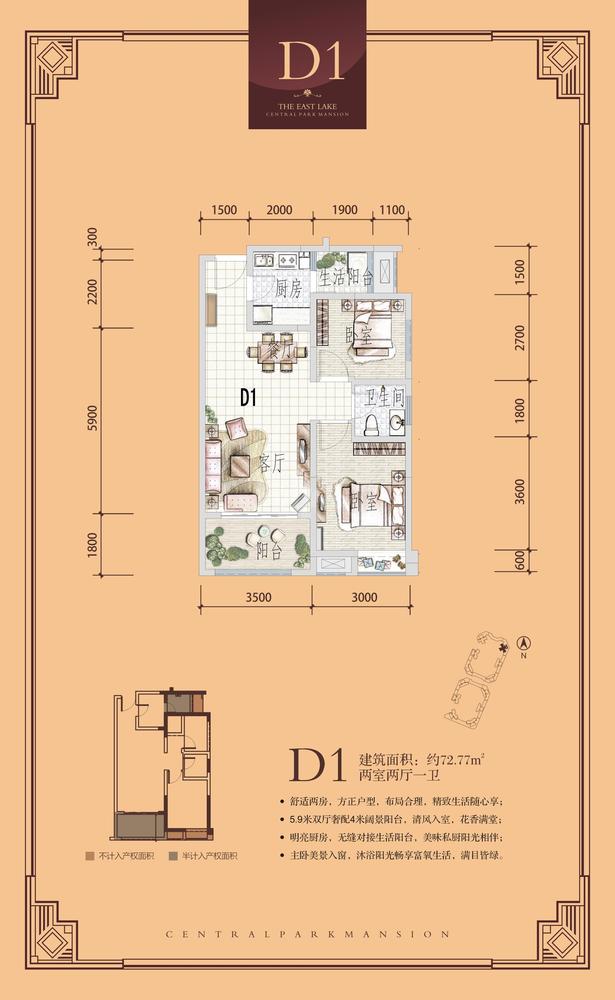 D1