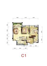 C1