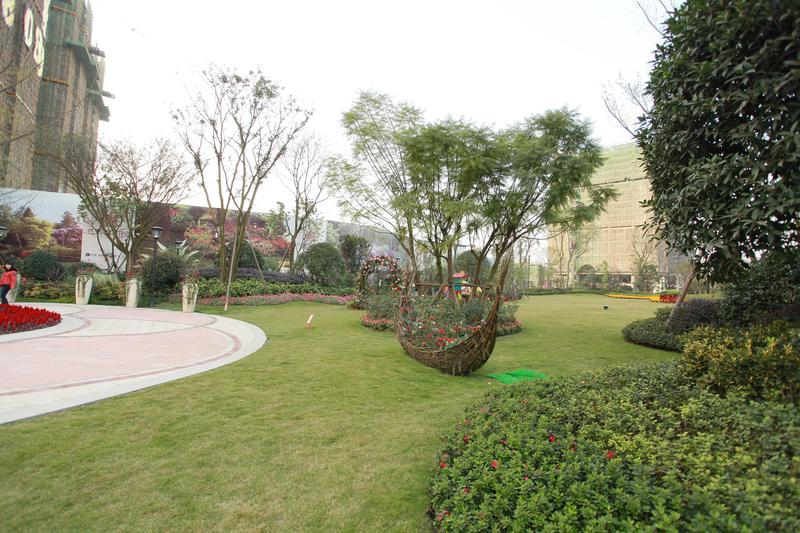 实景图