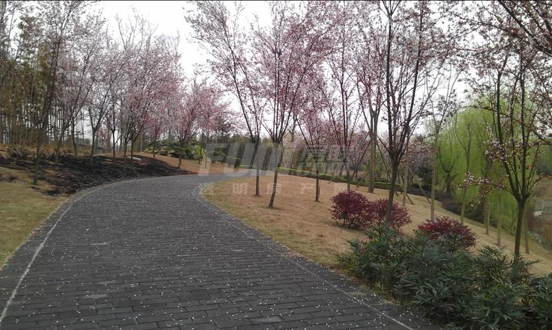 国学公园