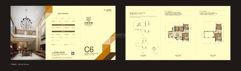 C6