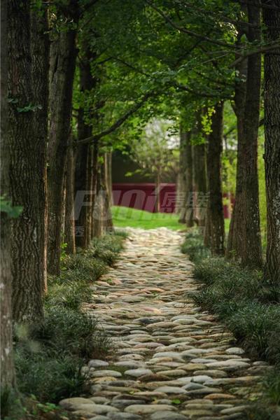 项目实景图