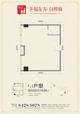 九峰时代广场(白桦林商业中心)  76.99平米