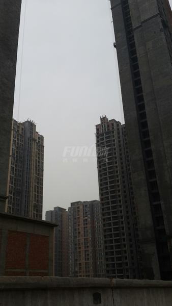 工程进度