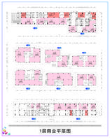 5#289.86平米