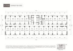 中建锦源汇广场1期1室55.00平户型