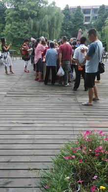 青城神韵二期活动图