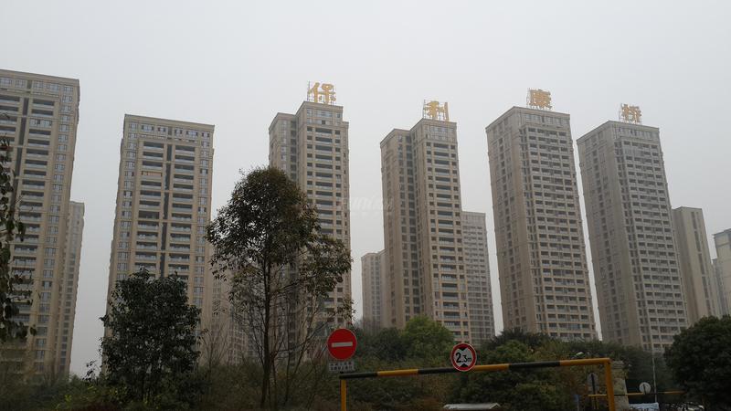 工程进度