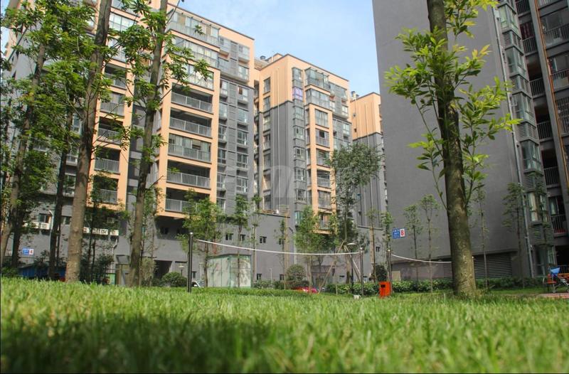 小区实景图