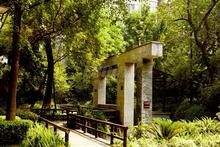 金沙愉景大楼实景图
