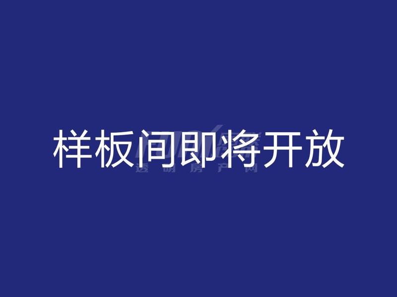 新光