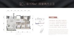 鸿山院子1期4室2厅2卫170.00平户型