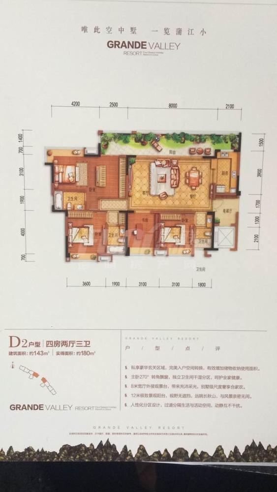 3期D2