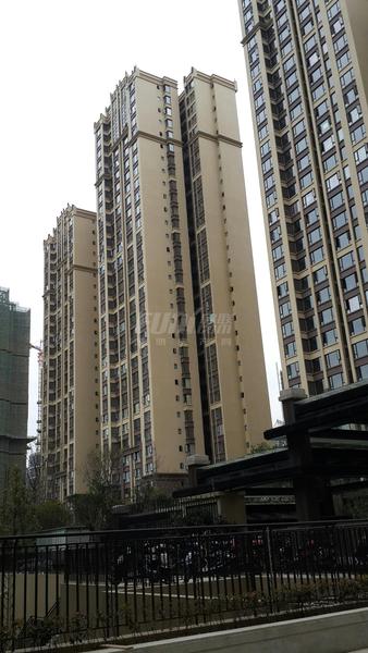 项目实景