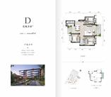 6单元花境洋房D