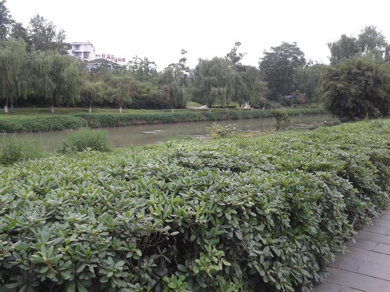 沙河公园