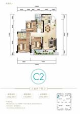 C2