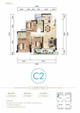凤凰1号 3室2厅2卫 102.66平米