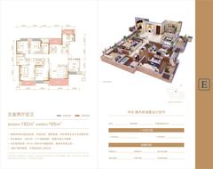 锦天新城5室2厅2卫182.00平户型