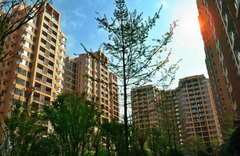 实景图