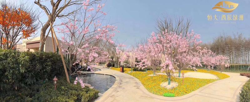 实景图
