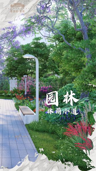 效果图
