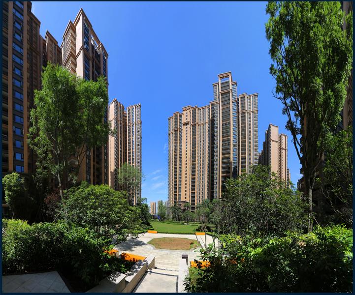 项目实景图