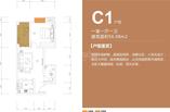 C1