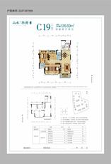 C19
