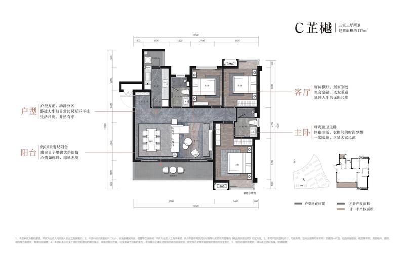 C型芷樾