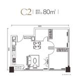 C2