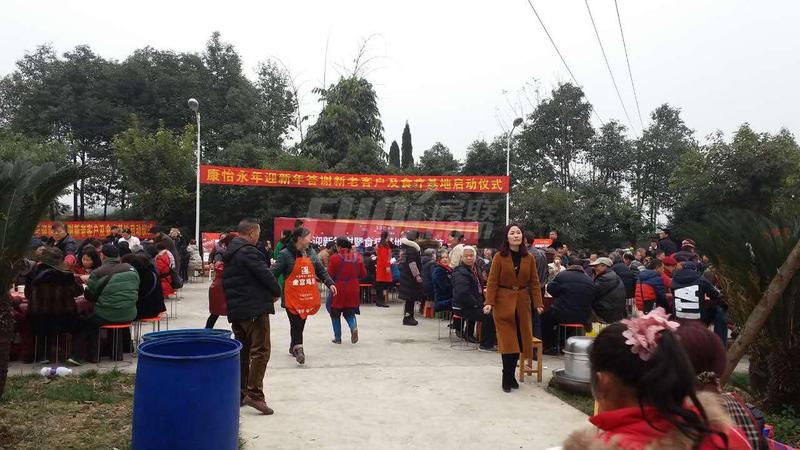 活动图