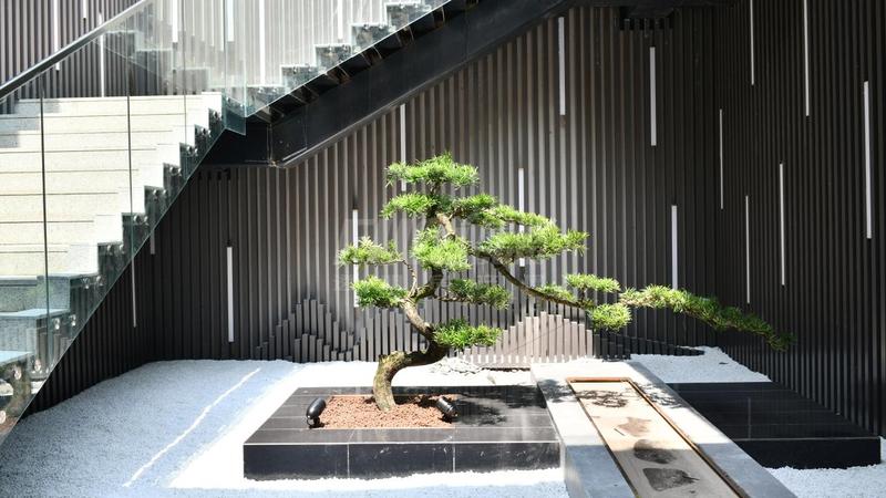 实景图