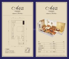 西门先生30.84平户型
