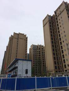 丽都世家B区实景图
