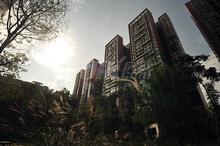 华邑阳光里实景图