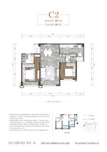 金沙宸宇公馆1期2室2厅2卫85.00平户型