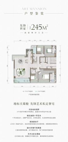 启樾天玺花园1期4室2厅4卫244.52平户型