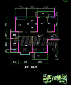 五彩城2期3室2厅2卫120.00平户型