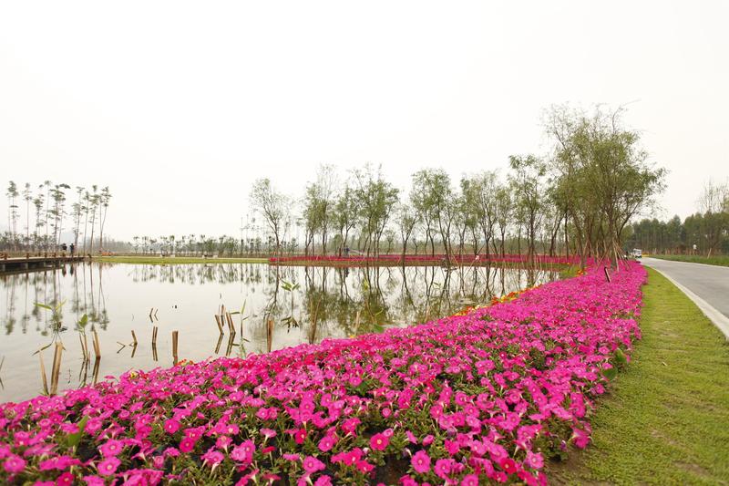 香城湿地公园