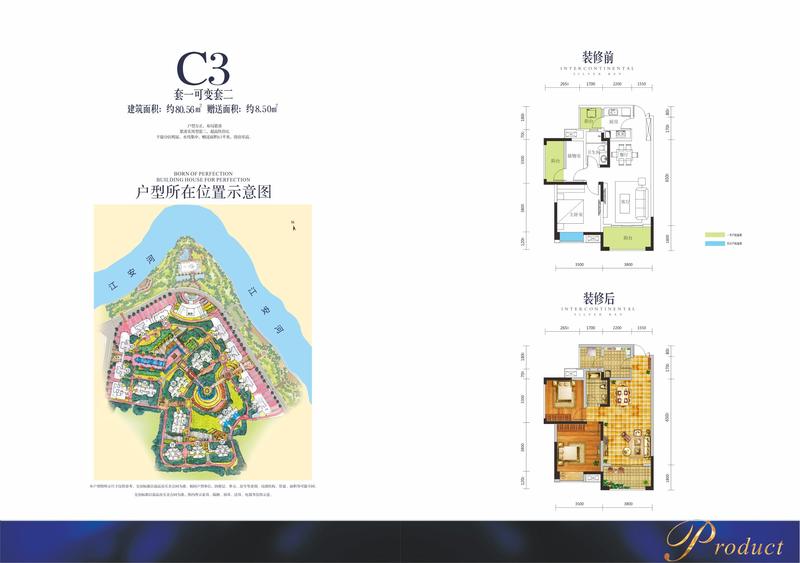 C3