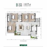 B1